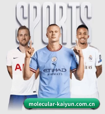 开云围绕看球场景设计的核心服务
